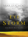 In the Eye of the Storm (eBook): A Day in the Life of Jesus